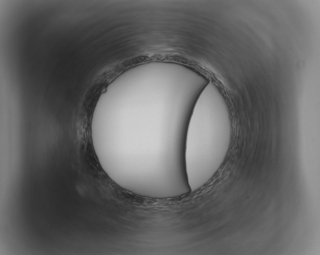 X0000102291063200807250956