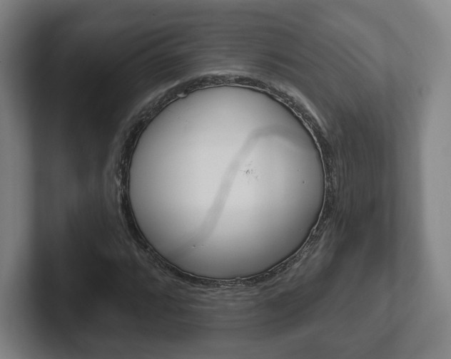 X0000102291064200807250956