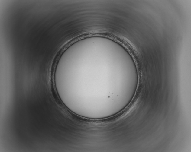 X0000102291065200807250956