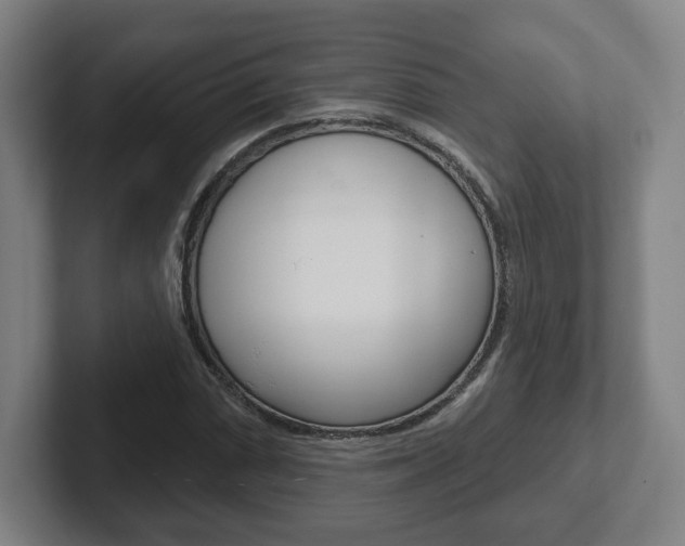 X0000102291066200807250956