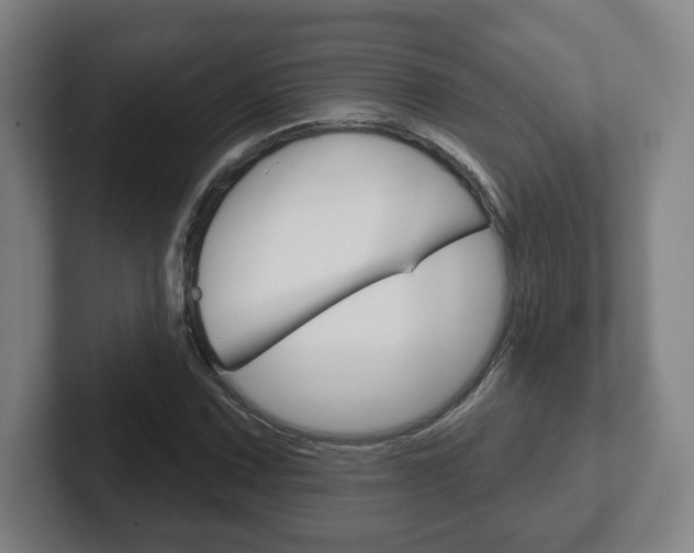 X0000102291067200807250956