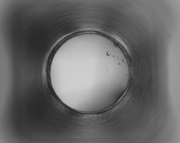 X0000102291068200807250956