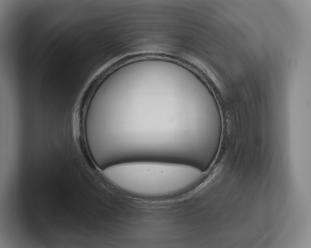 X0000102291069200807250956