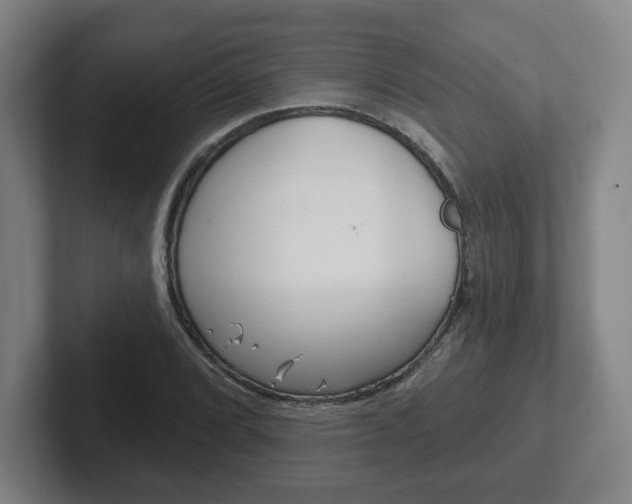 X0000102291072200807250956