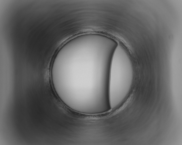 X0000102291073200807250956