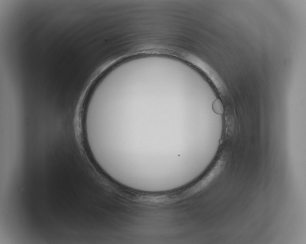 X0000102291074200807250956