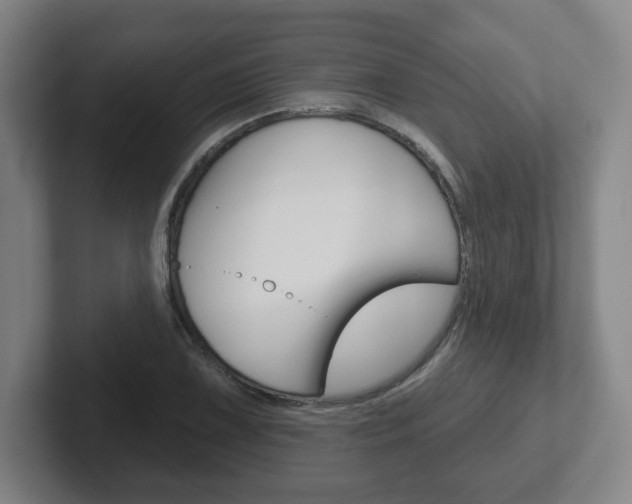 X0000102291075200807250956