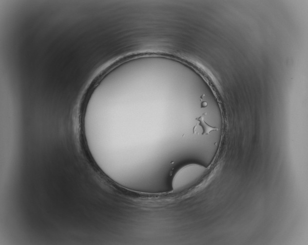 X0000102291077200807250956