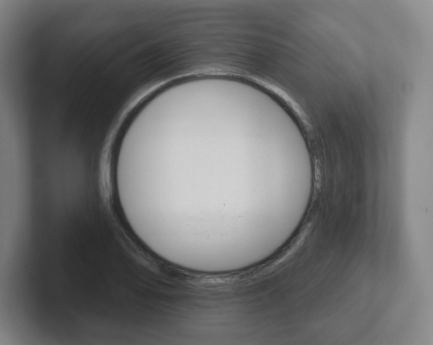 X0000102291078200807250956