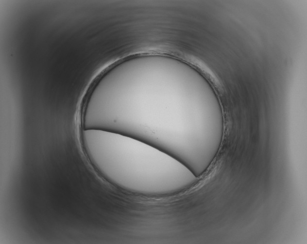 X0000102291079200807250956