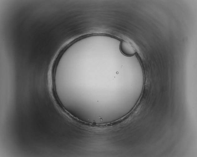 X0000102291080200807250956