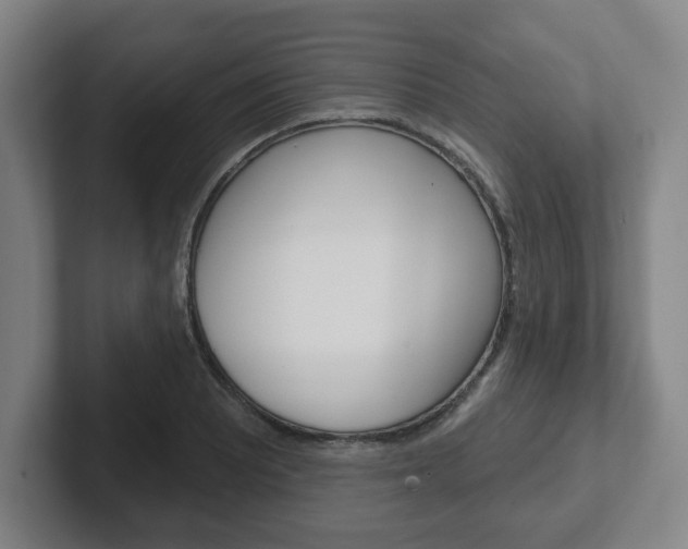 X0000102291081200807250956