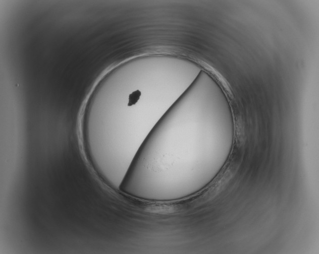 X0000102291083200807250956