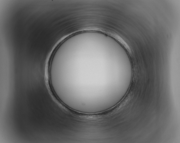 X0000102291084200807250956