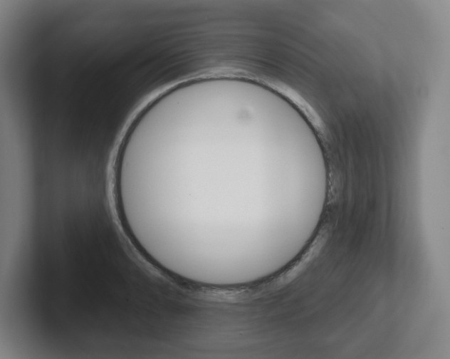 X0000102291086200807250956