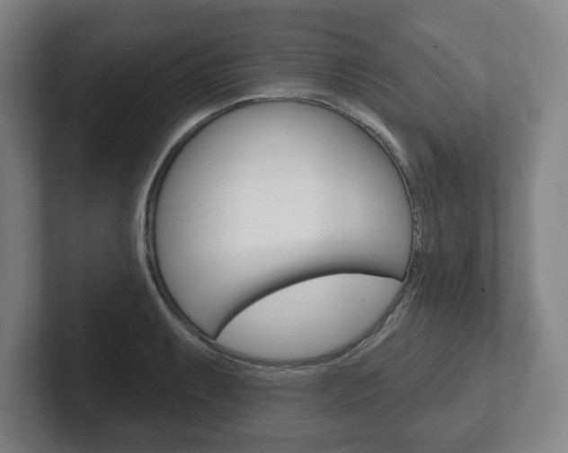 X0000102291087200807250956