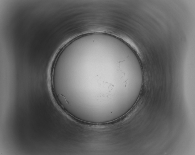 X0000102291088200807250956