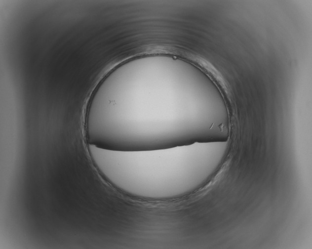 X0000102291089200807250956