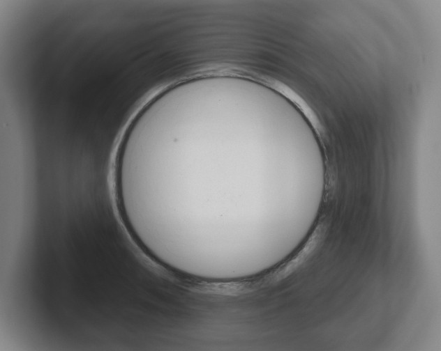 X0000102291090200807250956