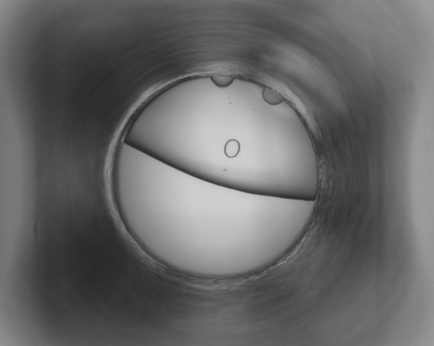X0000102291091200807250956