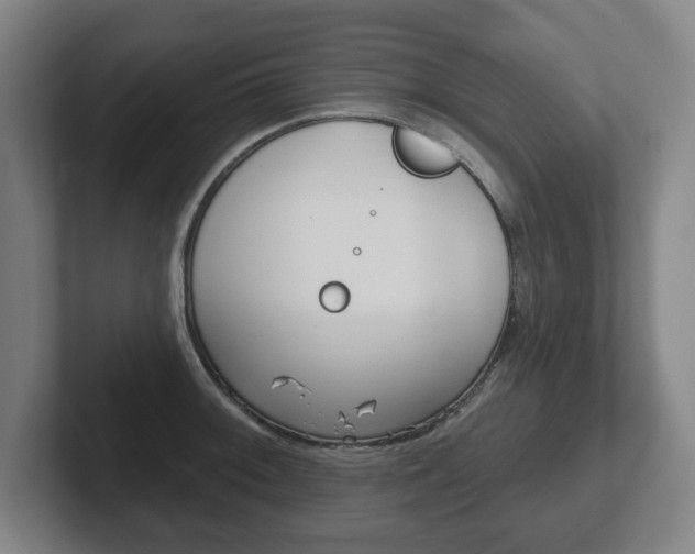 X0000102291092200807250956