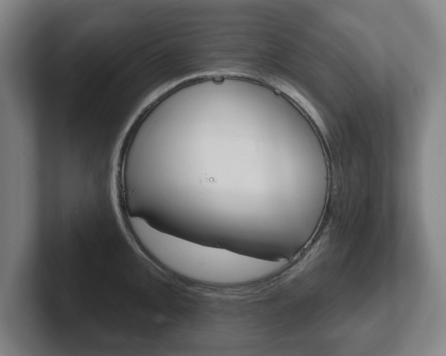X0000102291093200807250956