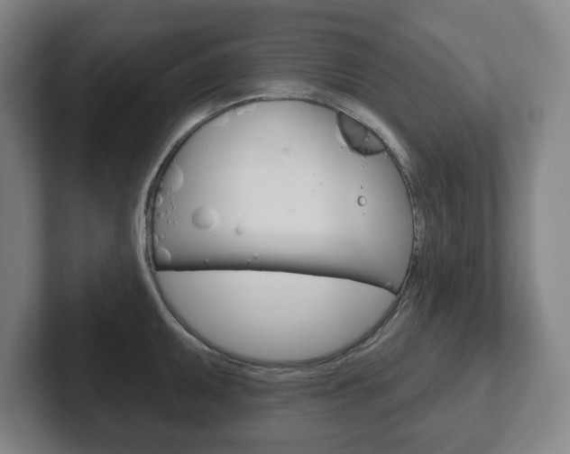 X0000102291095200807250956
