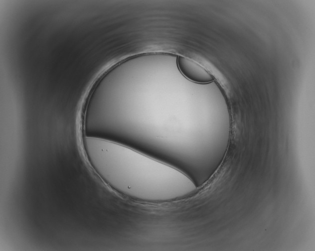 X0000102291096200807250956