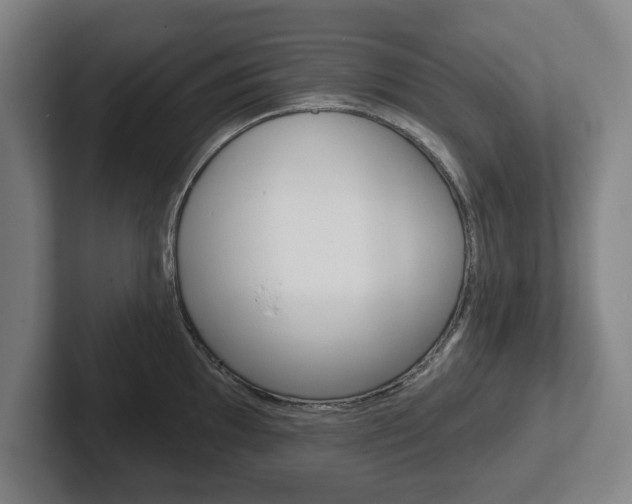 X0000102291097200807250956