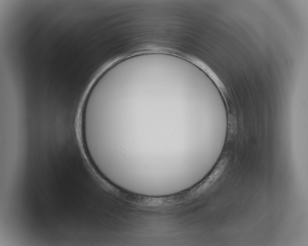 X0000102291098200807250956