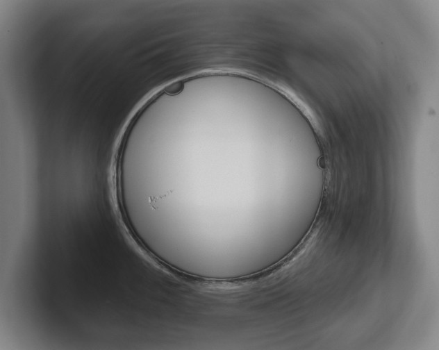 X0000102291100200807250956