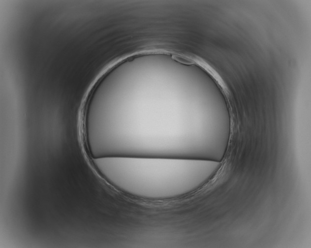 X0000102291101200807250956