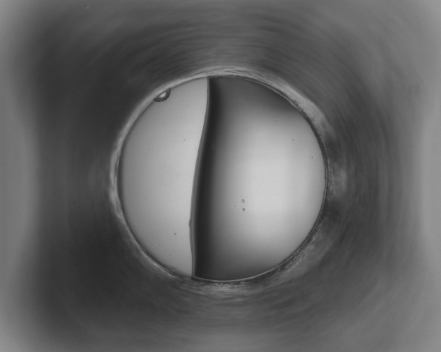X0000102291102200807250956