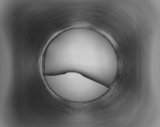 X0000102291103200807250956
