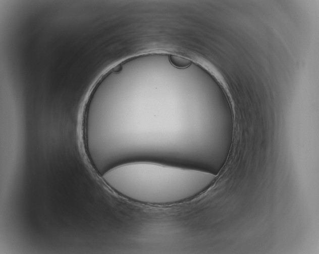 X0000102291104200807250956