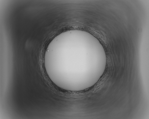 X0000102291105200807250955