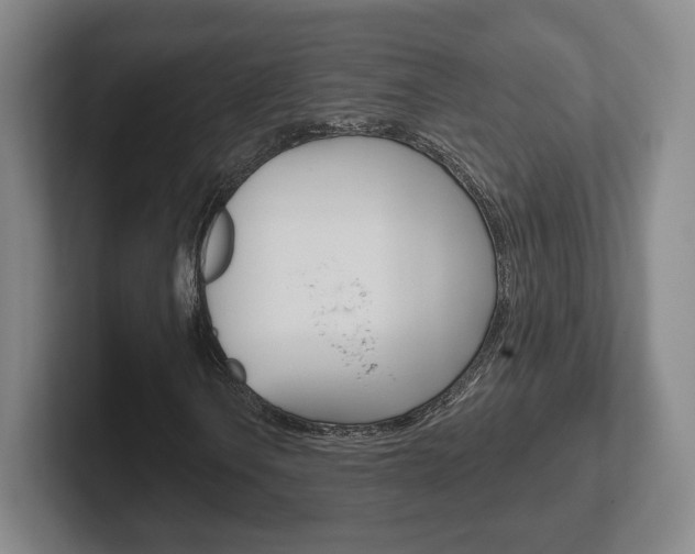 X0000102291106200807250955