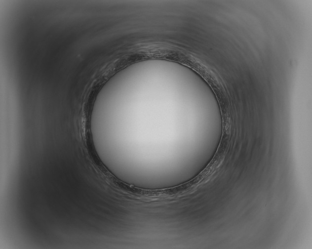 X0000102291108200807250955