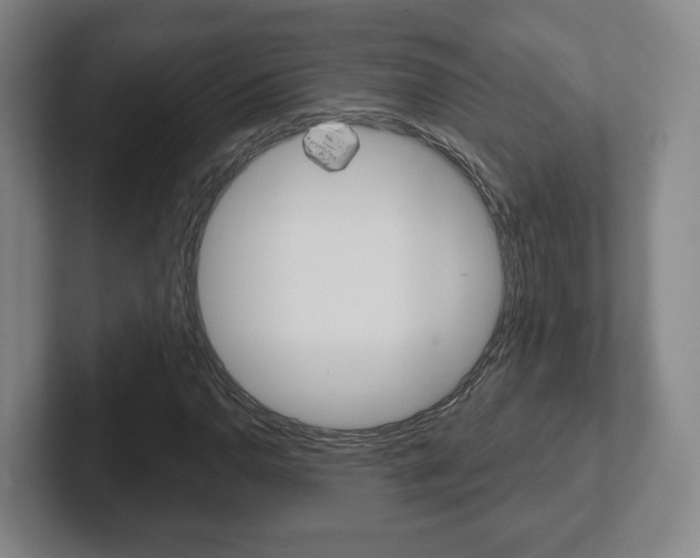 X0000102291110200807250955