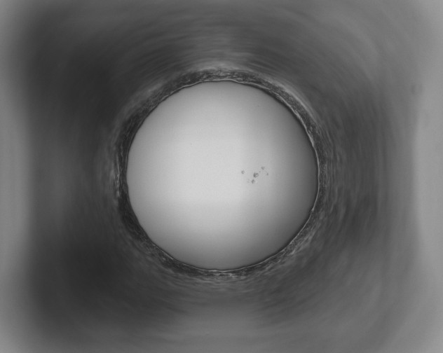 X0000102291111200807250955