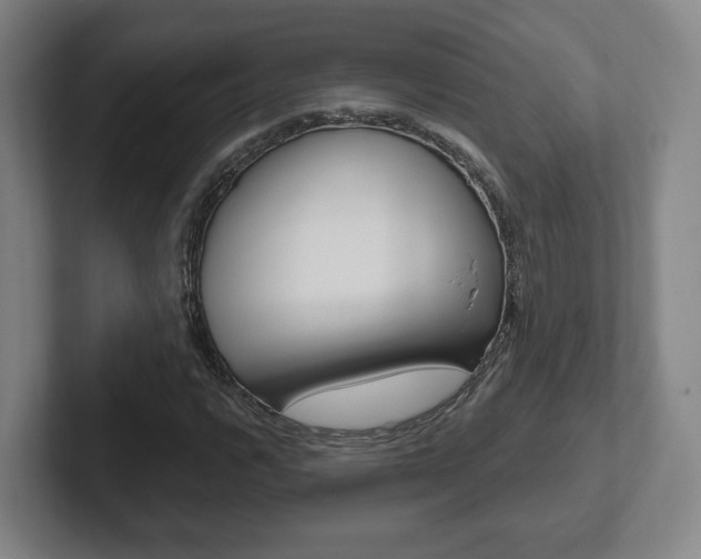 X0000102291112200807250955