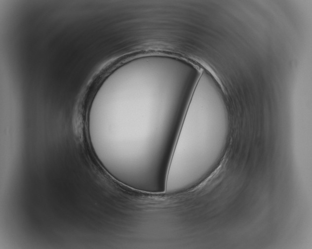 X0000102291115200807250955