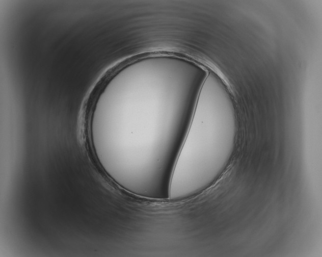 X0000102291116200807250955