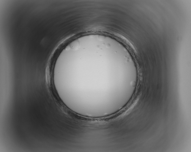 X0000102291117200807250955