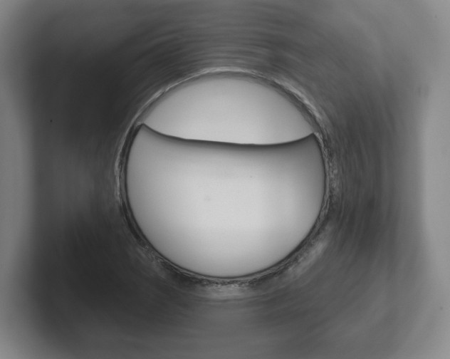 X0000102291121200807250955