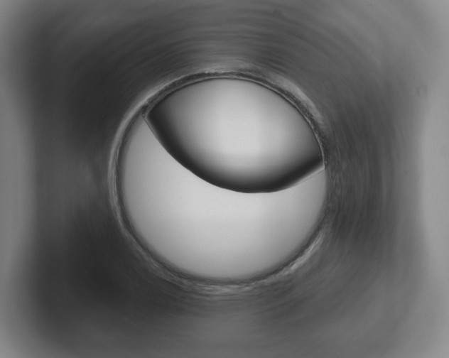 X0000102291122200807250955