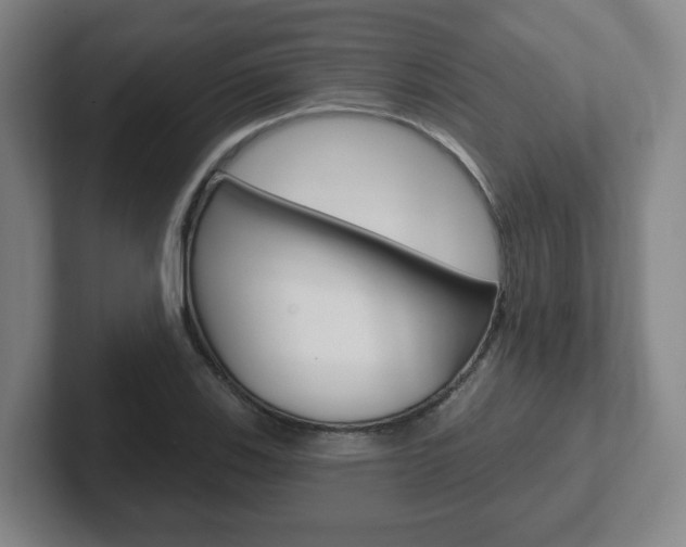 X0000102291123200807250955