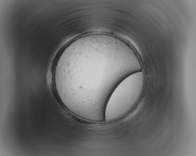 X0000102291125200807250955