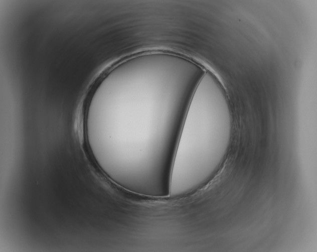 X0000102291127200807250955