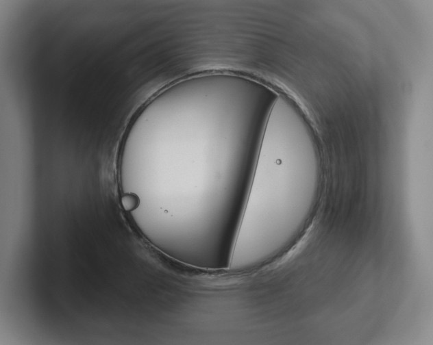 X0000102291129200807250955